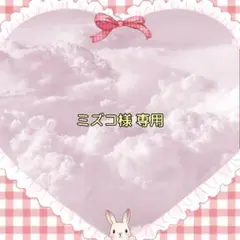 ミズコ様 専用ページ♡