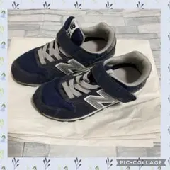 Item thumbnail for item d006d7c0-76c1-46b9-8501-51d5e7f93946