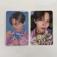 NCTWISH Songbird 封入トレカ　ジェヒ