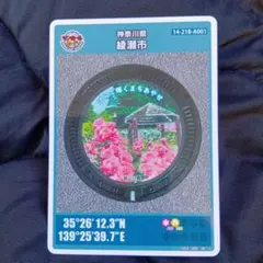 Item thumbnail for item 65a118bb-607f-4991-a3e8-f9bfbd39959e