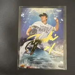 Item thumbnail for item 2a2944e0-c46a-44a0-891c-077167606851