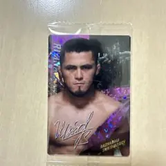 Item thumbnail for item 683a9b00-8c04-414c-aede-270d59871497