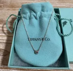 Tiffany & Co. バイザヤードネックレス シルバー