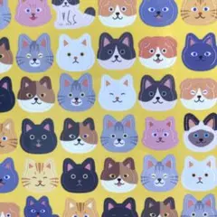 Item thumbnail for item 5230afe5-3cef-4933-8b34-ee0b3f7b8d9f