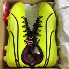 Item thumbnail for item 4e5711d7-fe88-4780-b5e6-090dd343a3f9