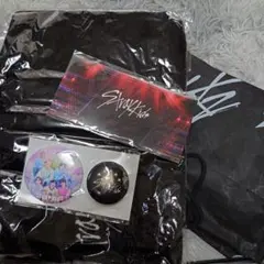 StrayKids ドームツアー アップグレード 特典グッズ