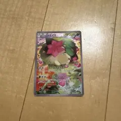 シェイミ XY BREAK コンセプトパック 幻・伝説ドリームキラコレクション…