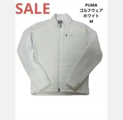 Item thumbnail for item b7e7037c-8ec3-40ed-8001-613a71a094ff