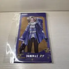 勝利の女神NIKKE 京都限定 アイン トレーディングチケットホルダー