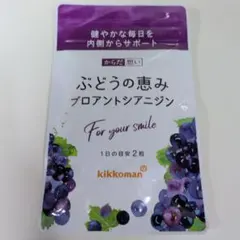 Item thumbnail for item 30a05ed9-73c9-4240-b2ae-068d89d5f5a0