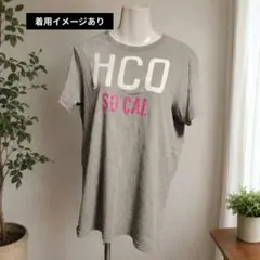 HOLLISTER HCO SO CALロゴTシャツ グレー Y2K アメカジのサムネイル
