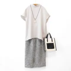 Demi-LuxeBEAMS スタンドネックプルオーバー ストレッチ グレージュ