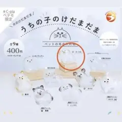 Item thumbnail for item acc93986-fad2-46c9-bdb5-9c341a321839