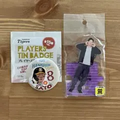 Item thumbnail for item c709df9f-a4fa-4fb7-99de-2d64012c63ae