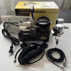 2025年最新】アネスト岩田 IS-800の人気アイテム - メルカリ