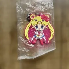 セーラームーン サンリオキャラクターズ キーホルダー