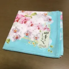 Item thumbnail for item 7616439e-5a8f-497b-933a-6e8373301181