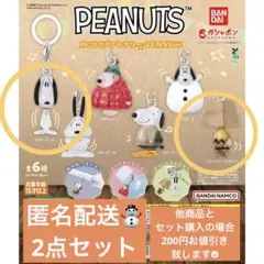 匿名配送　PEANUTSめじるしアクセサリー FUNNY ver. スヌーピー