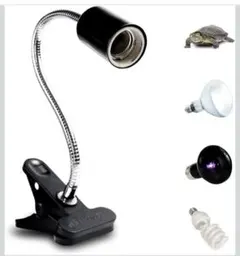 Item thumbnail for item 3bb2f10a-a494-4a59-85a3-87faaa3bad34