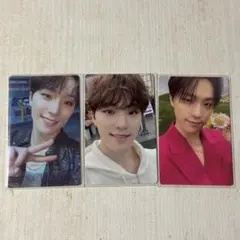 ディノ sector17トレカセット