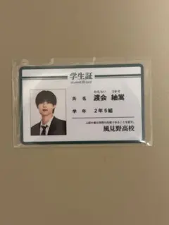 修学旅行で仲良くないグループに入りました 学生証風カード 渡会紬嵩