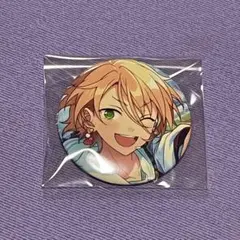 白鳥藍良 フィーチャー2 缶バッジ 70点セット 白鳥藍良 缶バッジ フィーチャー2 白鳥藍良 フィーチャー2 缶