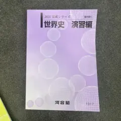 Yangley20913様 リクエスト 2点 まとめ商品