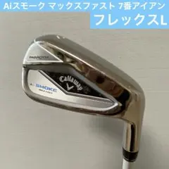 Item thumbnail for item 82b3ab5c-ced7-4b4b-b4ea-ce489756253e