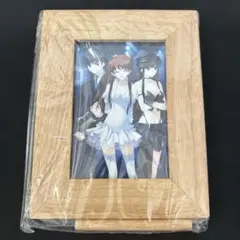 WHITE ALBUM2 フォトフレーム（2013）のサムネイル