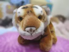 Item thumbnail for item d4bc5160-c9d6-42eb-b0c3-ed4fab9a2bea