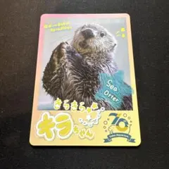 2025年最新】鳥羽水族館購入の人気アイテム - メルカリ