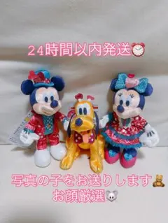 ぬいぐるみバッジ ミニー ミッキー プルート パルパル　ファンダーランド