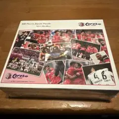 Cerezo Osaka 300ピースジグソーパズル