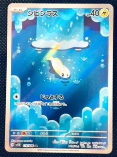 シビシラス ポケモンカード HP40 AR　ブラックボルト　ポケカ