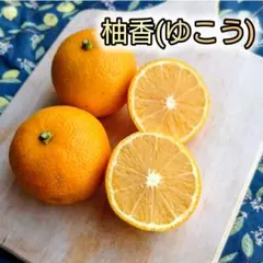 柚香(ゆこう)　13〜15個　1kg以上　栽培期間中農薬不使用　柚子と橙の交配種