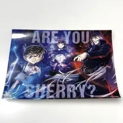 映画　名探偵コナン 黒鉄の魚影　両面印刷　B1 ポスター　額付き　非売品 映画 名探偵コナン 黒鉄の魚影 両面印刷 B1 ポスター 非売品