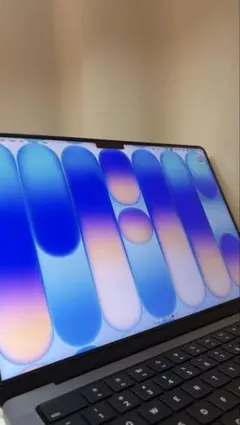 [美品] M1 MacBook Pro 16GB 14インチ 1TB