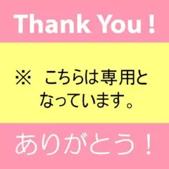 kamonegi様 リクエスト 2点 まとめ商品