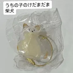 うちの子のけだまだま　犬　柴犬　ガチャガチャ　カプセルトイ