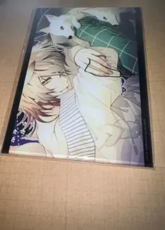 Collar×Malice カラマリ 岡崎契 AGF イラストカードくじ - メルカリ