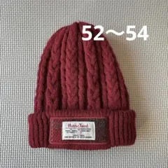 Item thumbnail for item 982cf43a-506b-4ecf-96c8-fda3ae9a5919