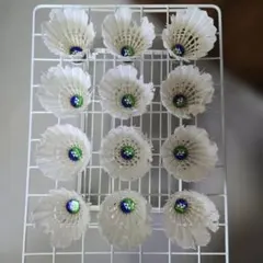 Item thumbnail for item a91b08b5-cc65-4642-8eeb-ea70275486a0