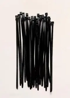 Item thumbnail for item 355813e0-a782-4ead-967e-d95e0f0bf05e