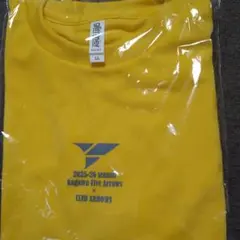 香川ファイブアローズ