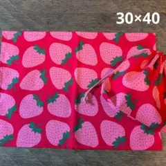 ランチョンマット＆給食袋セット　女の子　いちご　イチゴ　小学校　幼稚園　保育園