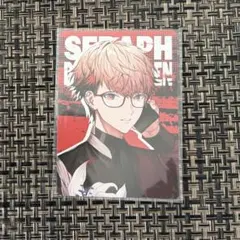 VOLTACTION ハウス セラフ・ダズルガーデン カード