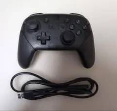 Nintendo Switch 純正プロコン 美品 USB付き