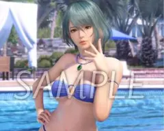Venus Vacation PRISM Wondergoo 特典 タペストリー