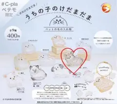 うちの子のけだまだま犬　チワワ