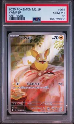 【PSA10】ワンパチ AR 086/080 インフェルノX　ポケモンカード